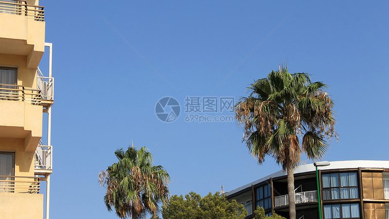 在众多厂家直销批发产品中，如何识别性价比之选，以下是一些实用技巧：